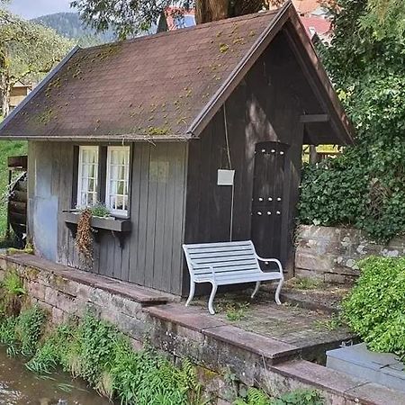 Schwarzwald Idyll Oberharmersbach Extérieur photo