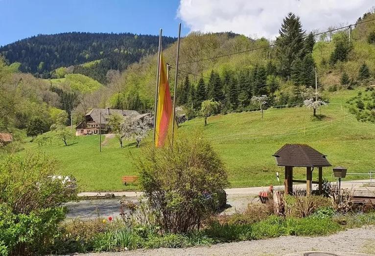 Schwarzwald Idyll Oberharmersbach Extérieur photo